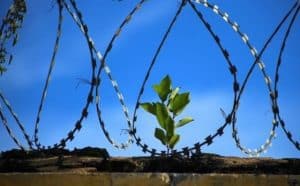 rêver de sortir de prison