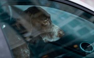 Rêver d'être coincé en voiture