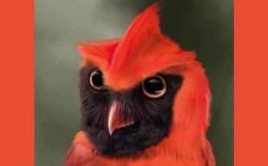 Rêver de hibou rouge