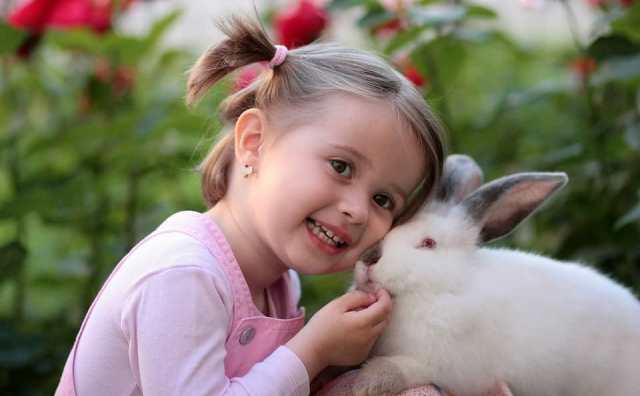 Rêver de jouer avec un lapin