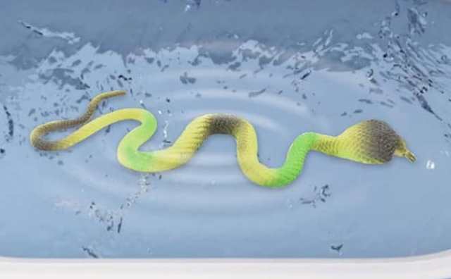 Rêver de serpent vert dans l’eau