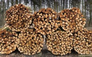 Pourquoi rêver de ramasser du bois ?