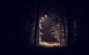 Pourquoi rêver d'obscurité ?