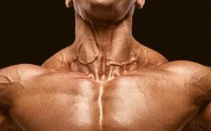 Pourquoi rêver de veines ?