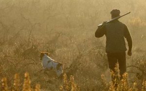 Pourquoi rêver d'abattre un animal ?
