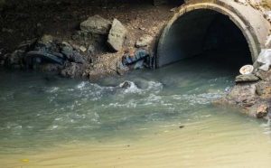 Pourquoi rêver d'égouts ?