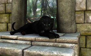 Pourquoi rêver de panthère noire chez soi ?