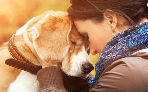 Pourquoi rêver d'adopter un chien ?