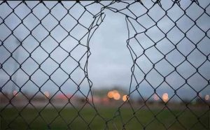 Pourquoi rêver de grillage ?