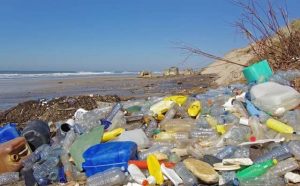 Pourquoi rêver de mer polluée ?