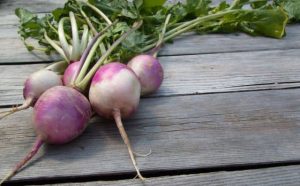 Pourquoi rêver de navets ?