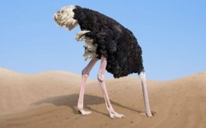 Pourquoi rêver d'autruche ?