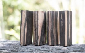 Pourquoi rêver d'ébène ?