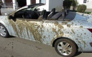 Pourquoi rêver d'excréments tombant du ciel ?