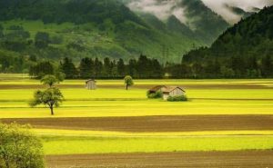 Pourquoi rêver d'un très bel endroit ?