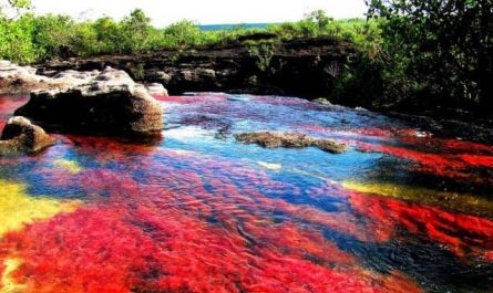Pourquoi rêver d'une rivière colorée ?