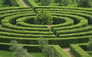 Pourquoi rêver de labyrinthe vert ?