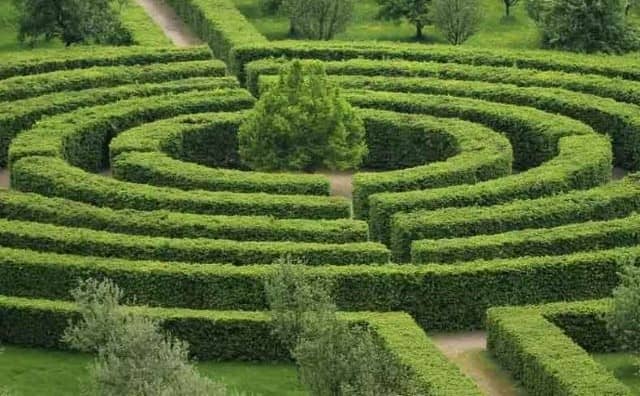 Rêver d’un labyrinthe vert