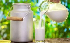 Pourquoi rêver de lait de vache ?