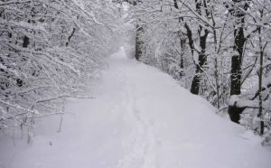 Pourquoi rêver de neige blanche ?