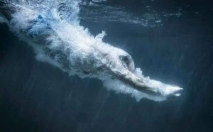 Pourquoi rêver de plonger dans un lac en Islam ?