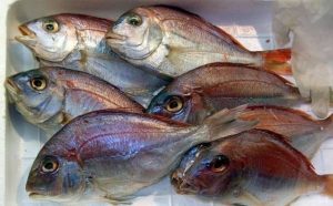 Pourquoi rêver de poisson dans le réfrigérateur ?