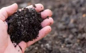 Pourquoi rêver de terre noire ?