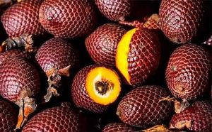 Pourquoi rêver d'aguaje ?