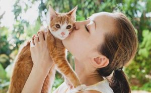 Pourquoi rêver d'embrasser son chat ?