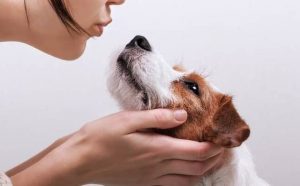 Pourquoi rêver d'embrasser son chien ?