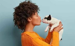 Pourquoi rêver d'embrasser un animal ?