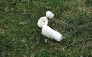 Pourquoi rêver d'excréments blancs ?
