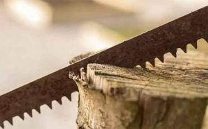 Pourquoi rêver de couper du bois ?