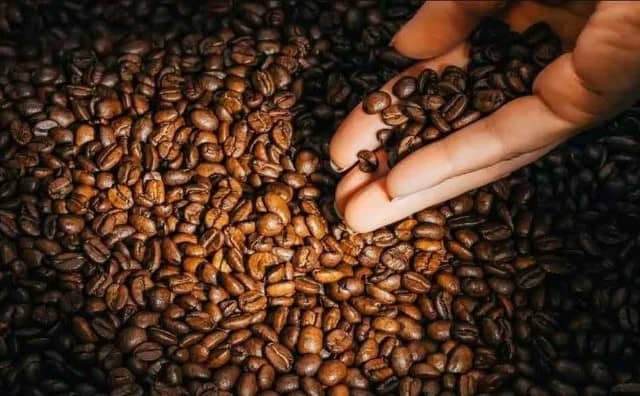 Rêver de cueillir du café