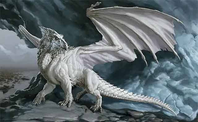 Rêver de dragon blanc