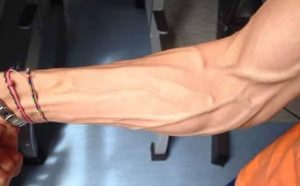 Pourquoi rêver de grosses veines ?