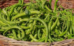 Pourquoi rêver de haricots verts ?