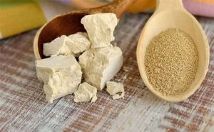 Pourquoi rêver de levure ?