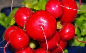 Pourquoi rêver de radis ?