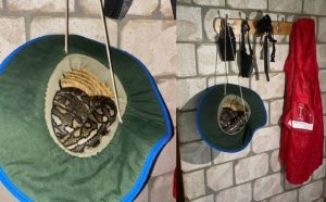 Pourquoi rêver de serpent dans un garage ?