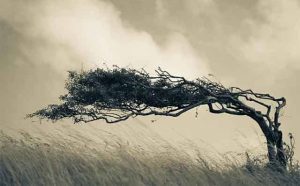 Pourquoi rêver de vent de poussière ?