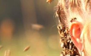 Pourquoi rêver d'abeille dans les cheveux ?