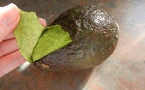 Pourquoi rêver d'avocats pelés ?