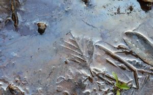 Pourquoi rêver d'eau stagnante ?