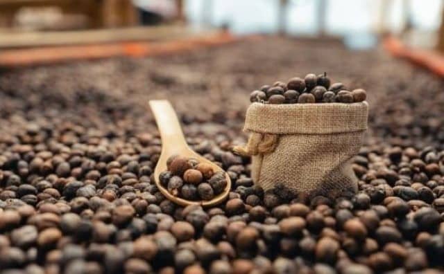 Pourquoi rêver de plantation de café ?