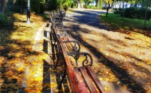 Pourquoi rêver de banc en bois ?