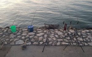 Pourquoi rêver de canne à pêche ?