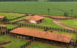 Pourquoi rêver de ferme ?