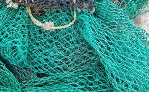 Pourquoi rêver de filet de pêche ?