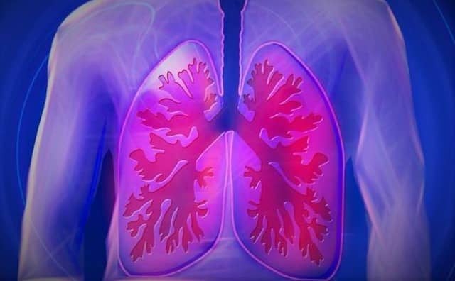 Pourquoi rêver de poumons ?
